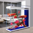 Acquario di lusso 180 x 40 x 116 cm Grande acquario in vetro con divisorio Vetro bianco super Illuminazione LED Filtrazione Display 3