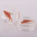 Acrylic Ear Plug with Fish and 3D Effect Transparent Jewellery for Stretched Earlobes Orange Fish Design Pack of 2 3