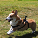 Action camera 4K/30fps con WiFi 2,4 GHz Connessione all'app Stabilizzazione elettronica dell'immagine Dimensioni compatte 60x26x20 mm Outdoor 2