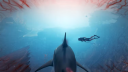 Activare cont online Maneater PS4/PS5 4
