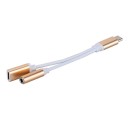 Adapter USB-C til 3,5 mm stik / USB-C K101 4