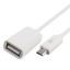 Adaptor Micro USB la USB K68 1