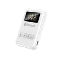 Adattatore bluetooth 5.0 wireless per auto con display Connettore jack da 3,5 mm Slot per schede micro SD Batteria da 300 mAh Raggio d'azione 1
