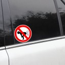 Adesivo divertente per auto B458 5