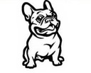 Adesivo per auto bulldog francese 5