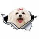 Adesivo per auto cane A1632 3