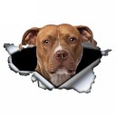 Adesivo per auto cane A1637 12