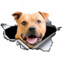Adesivo per auto cane A1637 3