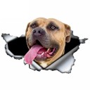 Adesivo per auto cane A1637 8