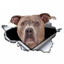 Adesivo per auto cane A1637 10