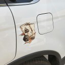 Adesivo per auto - carte 2