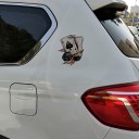 Adesivo per auto - carte 4