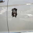 Adesivo per auto donna 3