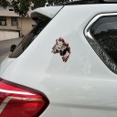 Adesivo per auto lupo furioso 4