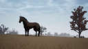 Adios Steam CD-avain CD-avain 2