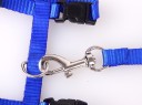 Adjustable Cat Harnesses 6