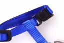 Adjustable Cat Harnesses 7