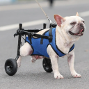 Adjustable Dog Wheelchair for Hind Legs Size M 46–58 cm Aluminium Frame with Wheels for Pet Rehabilitation 2