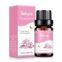 Æterisk olie til aromadiffuser 10 ml Vandopløselig duftolie Aromaterapi Afslapning Naturlig duft Indendørs duft 14