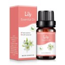 Æterisk olie til aromadiffuser 10 ml Vandopløselig duftolie Aromaterapi Afslapning Naturlig duft Indendørs duft 13