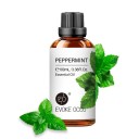 Æterisk olie til diffuser Naturlige duftolier Olie med 100% naturlig aroma 100 ml 5