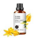 Æterisk olie til diffuser Naturlige duftolier Olie med 100% naturlig aroma 100 ml 14