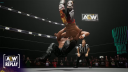 AEW: Fight Forever PS4/PS5 Account 5