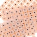 Akupresszúrás fülmatricák magokkal 600 darabos készlet kereső tollal 5,5 x 8,5 cm méretben nem invazív test akupresszúrás pontokhoz 2