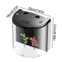 Akvário com iluminação LED e sistema de filtragem 20 x 20 x 14 cm Conjunto de aquário moderno Pequeno aquário com filtro Tanque estiloso para peixes 2