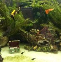 Akvariumdekoration skib 3