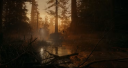 Alan Wake 2 PS5 Account 5