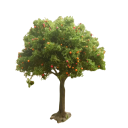 Albero in miniatura 10 cm Albero decorativo in plastica con frutti per diorami, modellismo, paesaggi in miniatura e giochi di guerra 1