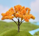 Albero modellistico 7