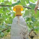 Ampiaisloukku PET-pullolle 2