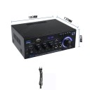 Amplificatore stereo Hi-Fi Bluetooth AK45 con ingressi per microfono Radio USB SD AUX Telecomando Lettore audio 2