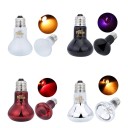Ampoule chauffante pour terrarium 3