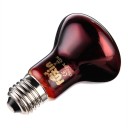Ampoule UVB chauffante pour terrarium 3