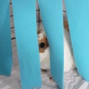 Αναπαυτήριο και κρεμαστός χώρος για τρωκτικά σε κλουβί 4