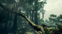 Ancestors: The Humankind Odyssey PS5 Account 6