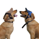 Åndbar baseballkasket til hunde Solhat til rejser og sport Dyreartikler Justerbar halsomkreds 29-36 cm 2