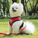 Åndbar hundesele i net med snor Tilbehør til små hunde og hvalpe Sele- og snorsæt Vest med reflekterende elementer 2,5 - 4 kg 4