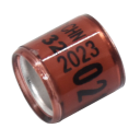 Anelli per piccioni 50 pz 5