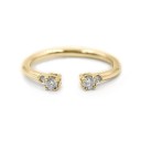 Anillo D2306 3
