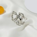 Anillo de araña 2