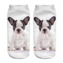 Ankle Socks - Dog 2