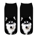 Ankle Socks - Dog 14