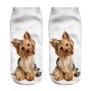 Ankle Socks - Dog 16
