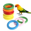 Anneaux en bois pour oiseaux 10 pcs 2