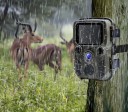Appareil photo de chasse P3817 2