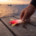 Appât pour seiche 8 cm 5,7 g Crevette artificielle lumineuse avec couronne double de hameçons Rouge et blanche Pour la pêche à la seiche, au calamar 2